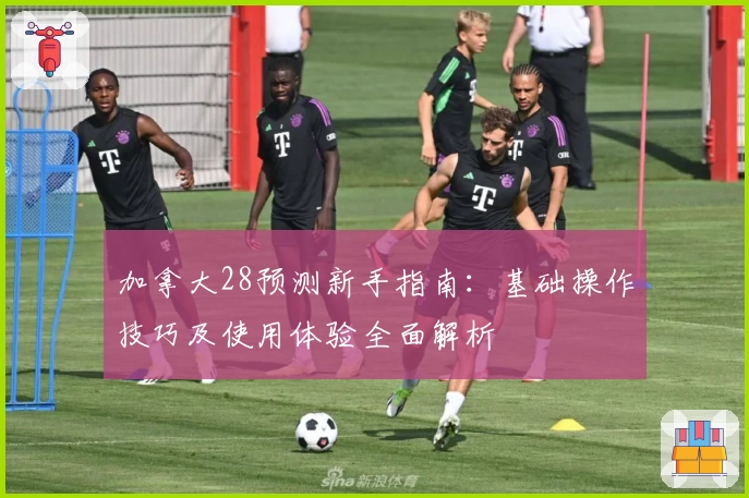 加拿大28预测新手指南：基础操作技巧及使用体验全面解析