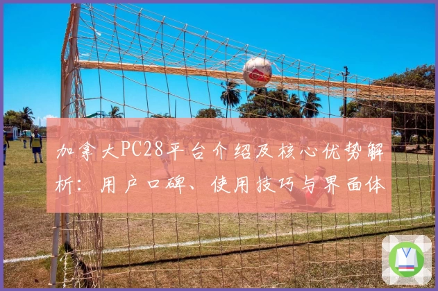 加拿大PC28平台介绍及核心优势解析：用户口碑、使用技巧与界面体验全揭秘