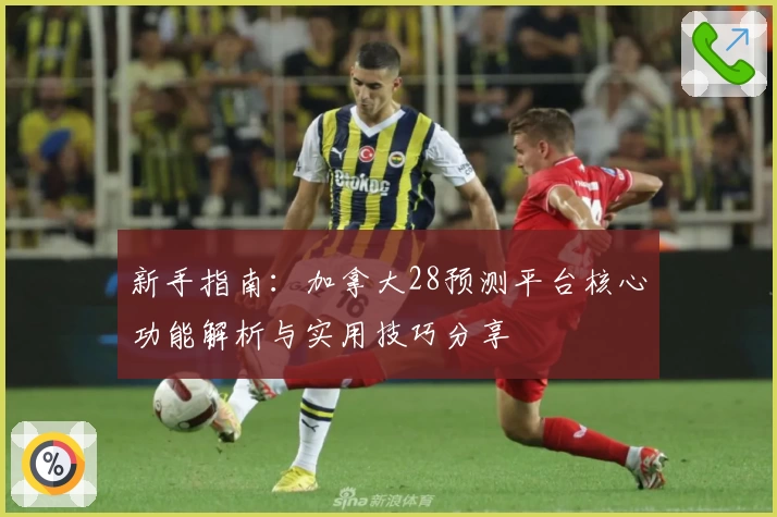 新手指南：加拿大28预测平台核心功能解析与实用技巧分享