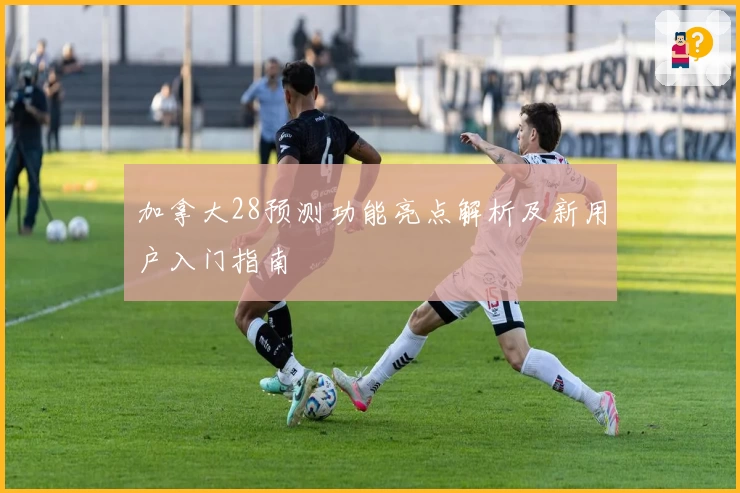 加拿大28预测功能亮点解析及新用户入门指南