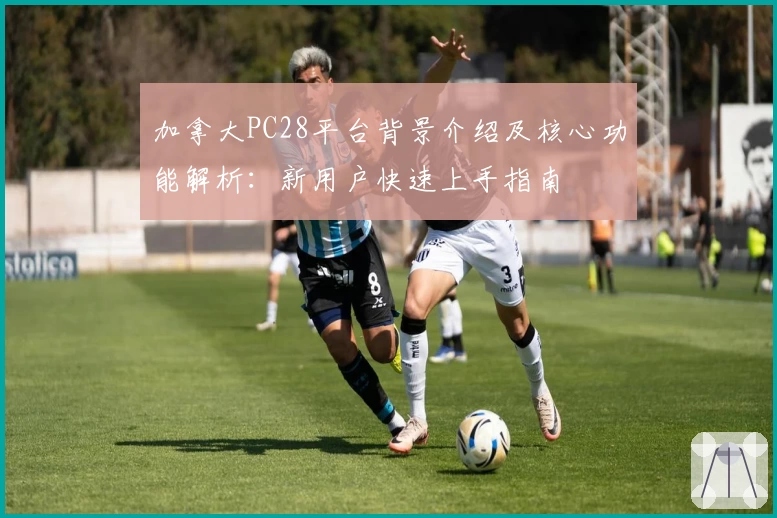 加拿大PC28平台背景介绍及核心功能解析：新用户快速上手指南