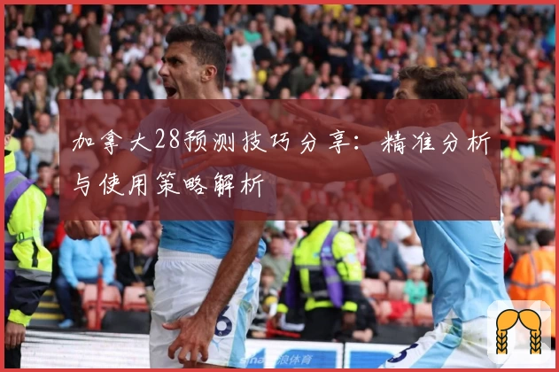 加拿大28预测技巧分享：精准分析与使用策略解析