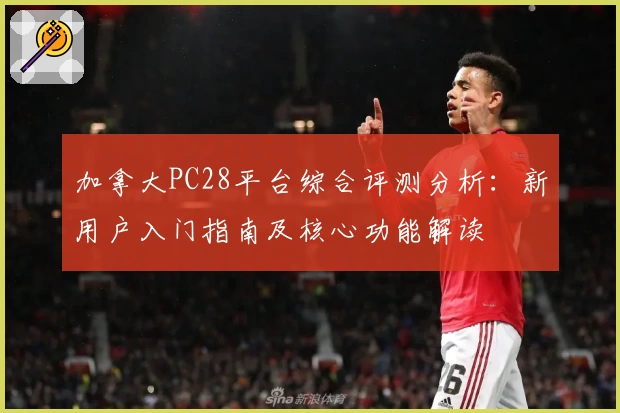 加拿大PC28平台综合评测分析：新用户入门指南及核心功能解读