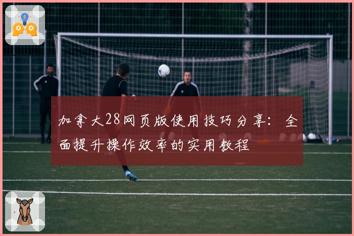 加拿大28网页版使用技巧分享：全面提升操作效率的实用教程