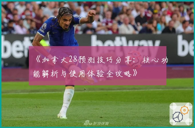 《加拿大28预测技巧分享：核心功能解析与使用体验全攻略》