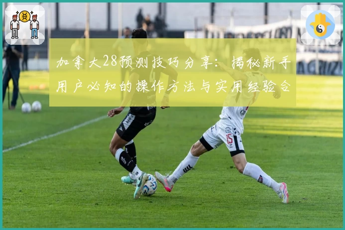 加拿大28预测技巧分享：揭秘新手用户必知的操作方法与实用经验合集