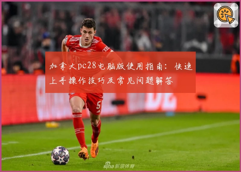 加拿大pc28电脑版使用指南：快速上手操作技巧及常见问题解答