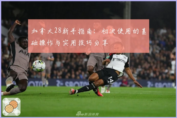 加拿大28新手指南：初次使用的基础操作与实用技巧分享