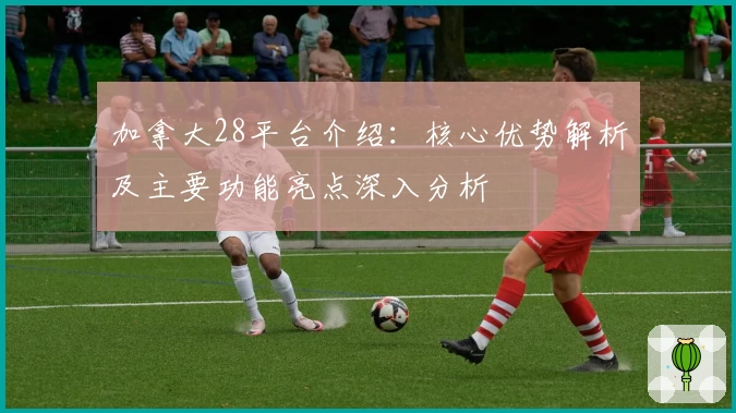 加拿大28平台介绍：核心优势解析及主要功能亮点深入分析